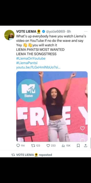 It all started from here, when a Liema fan screenshotted Zee's MTV base presenting video of her and used it to mock her. And her fans also retaliated but Sipelele took it further this time. 
