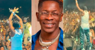 Twitter influencers known as 'agenda boys' praised the African Dancehall King, Shatta Wale profusely, saying he reigns supreme and that his tracks captivated the TGMA audience from the moment they dropped.