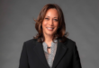 What does Kamala Harris offer the Democratic ticket in the US as a former senator, attorney general, and vice president?