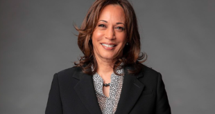 What does Kamala Harris offer the Democratic ticket in the US as a former senator, attorney general, and vice president?