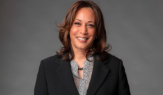 What does Kamala Harris offer the Democratic ticket in the US as a former senator, attorney general, and vice president?