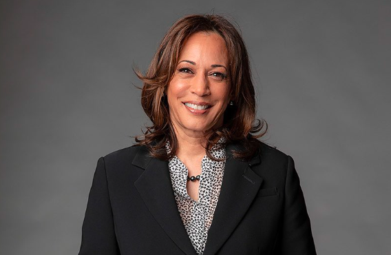 What does Kamala Harris offer the Democratic ticket in the US as a former senator, attorney general, and vice president?