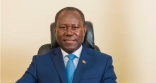 The Ghana Cocoa Board (COCOBOD) is projecting a significant boost in cocoa production for the 2024/25 season, anticipating over 800,000 metric tons, following a substantial GHC943 million investment aimed at rehabilitating aged and disease-ridden cocoa farms.