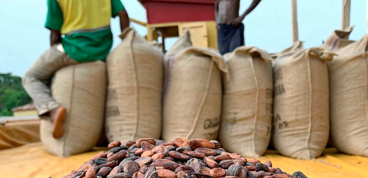 The Ghana National Cocoa Farmers Association has called for an immediate increase in cocoa prices for the upcoming planting season.