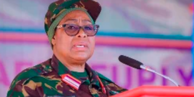 Tanzanian President Samia Suluhu Hassan issued a strong warning to foreign diplomats on Tuesday, cautioning them against “interfering” in the country’s internal matters.