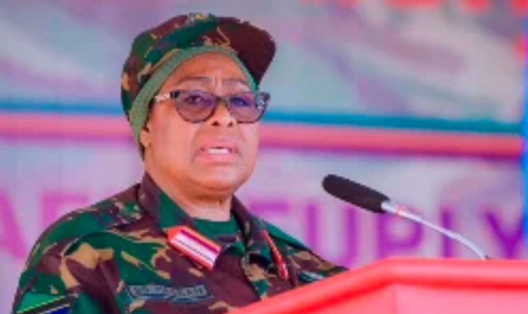 Tanzanian President Samia Suluhu Hassan issued a strong warning to foreign diplomats on Tuesday, cautioning them against “interfering” in the country’s internal matters.